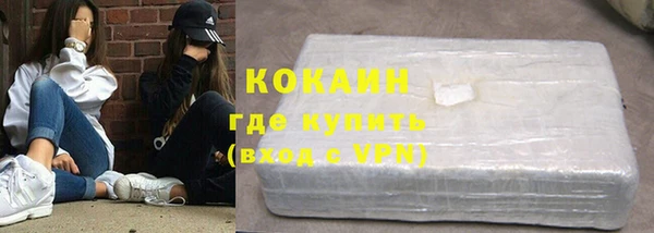 шишки Бежецк