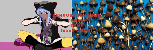 mix Беломорск